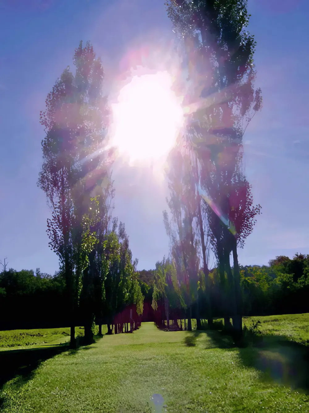La splendeur des lieux au fil des saisons · Photographie 1