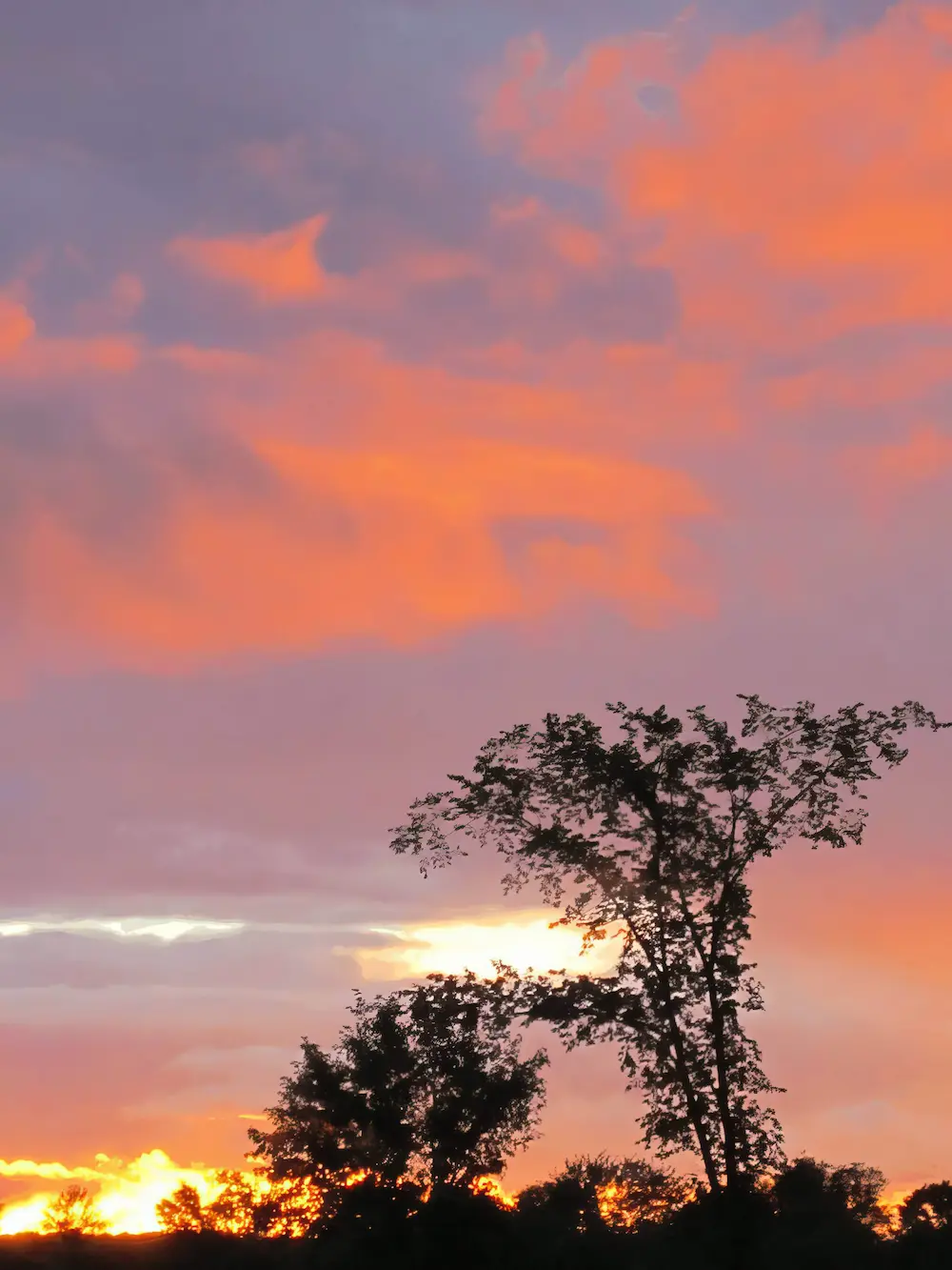 La splendeur des lieux au fil des saisons · Photographie 14