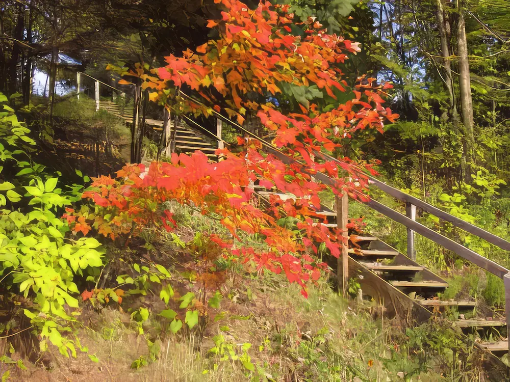La splendeur des lieux au fil des saisons · Photographie 20