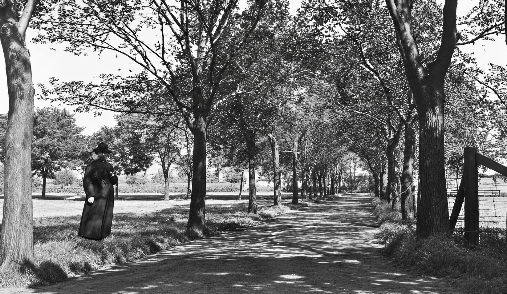 Allée du cimetière